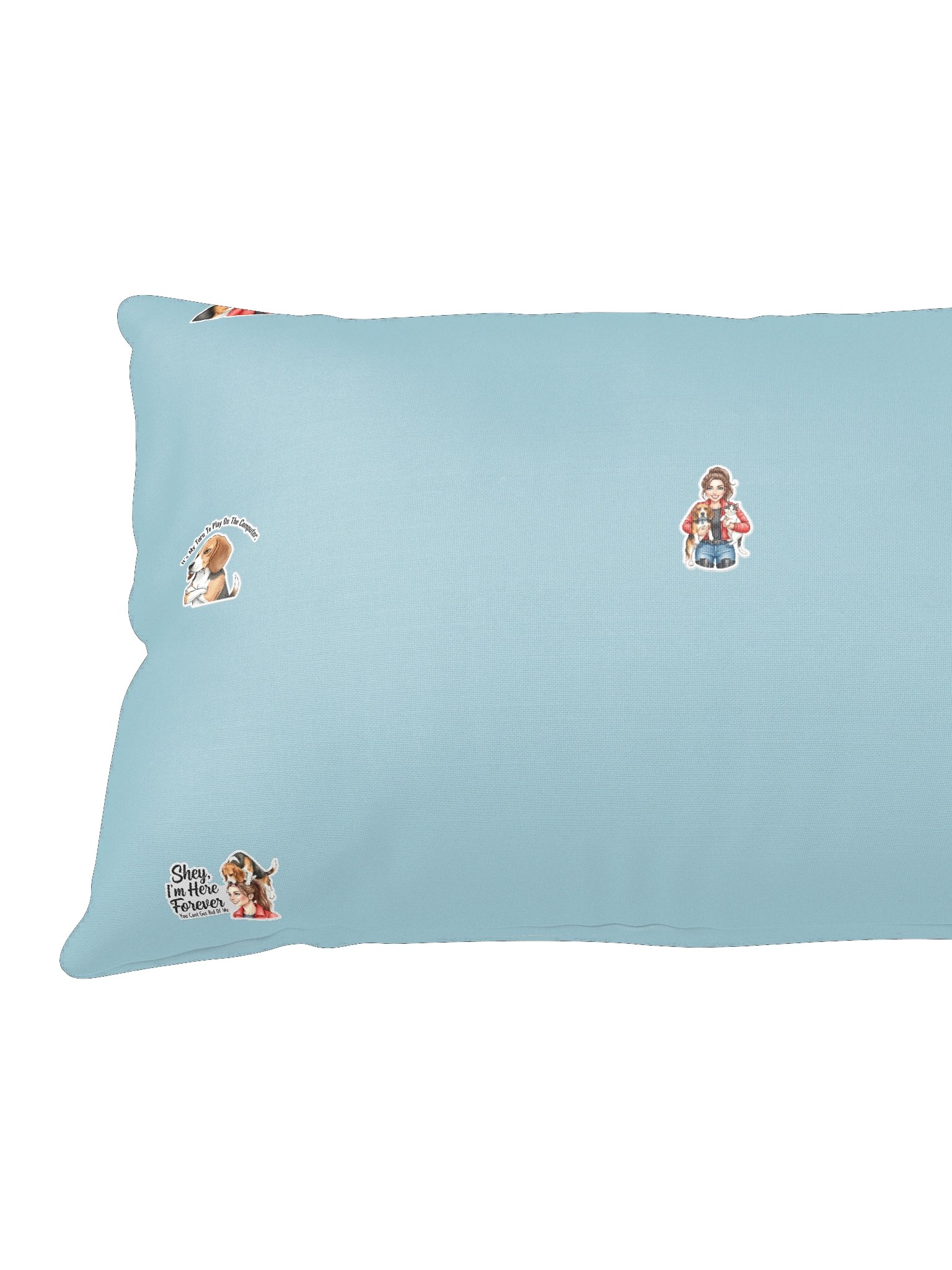 Dex and Co. pillow product image (9)