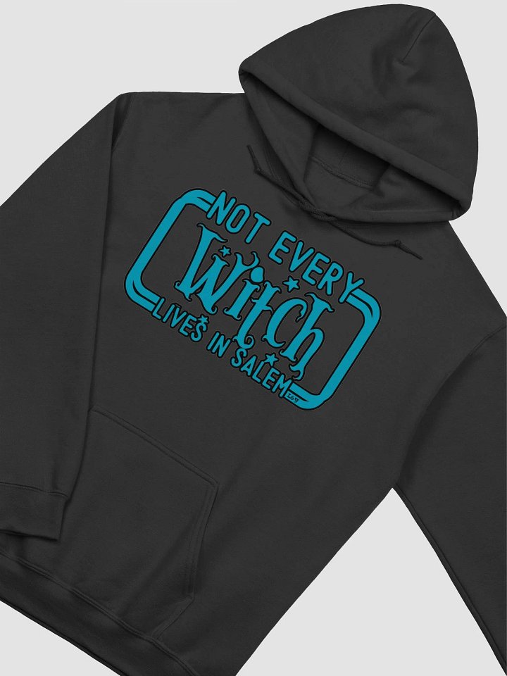 NOT EVERY WITCH LIVES IN SALEM product image (21)