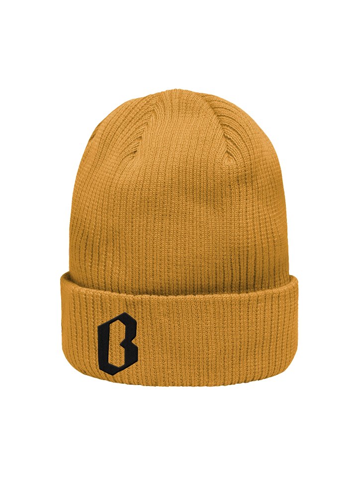 The Logo Beanie product image (2)