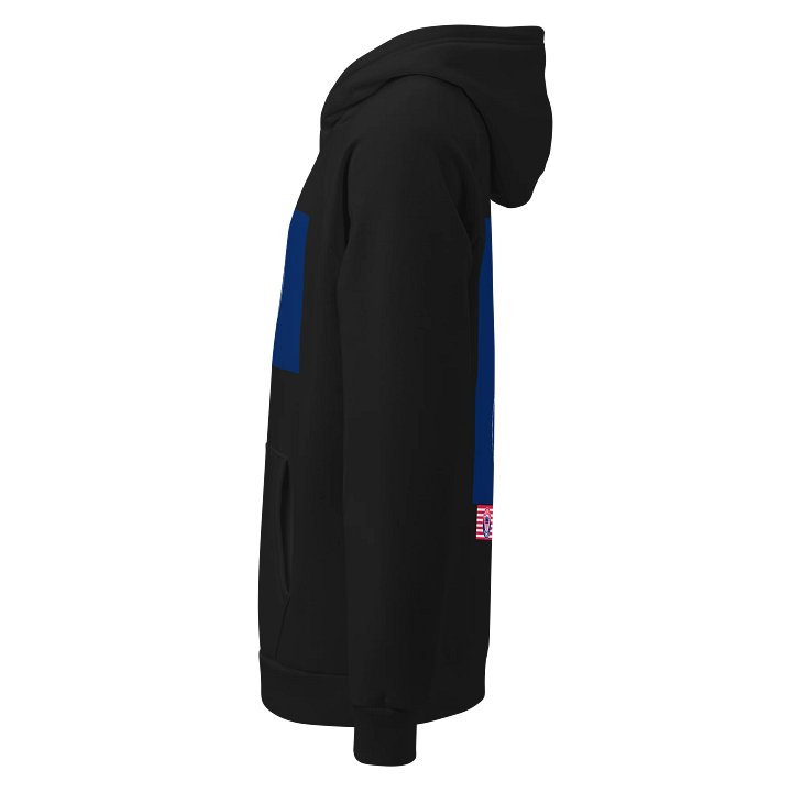 Under Armour x America FIRST Hoodie product image (5)