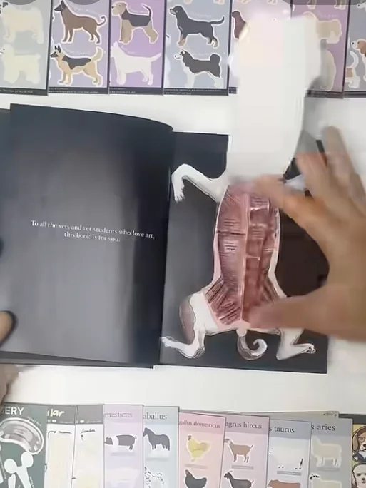 Vet Notes: Comparative Anatomy product image (7)