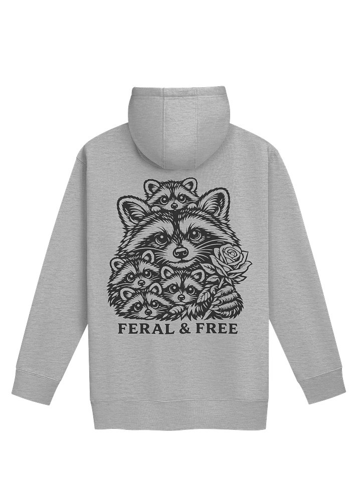 Raccoon Rehab Hoodie product image (2)