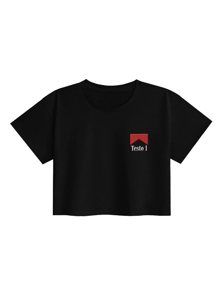 TS1 "SMOKE" EDITION CROP T-SHIRT product image (1)