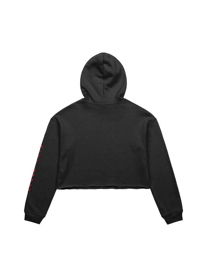 Y2K Style Cropped Hoodie V2 product image (2)
