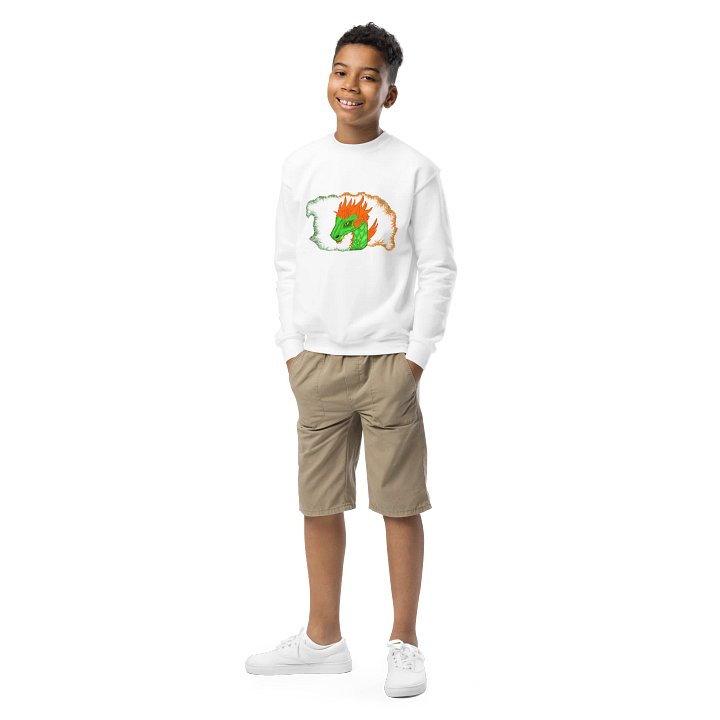 Dragon's Embrace Youth Sweatshirt product image (1)