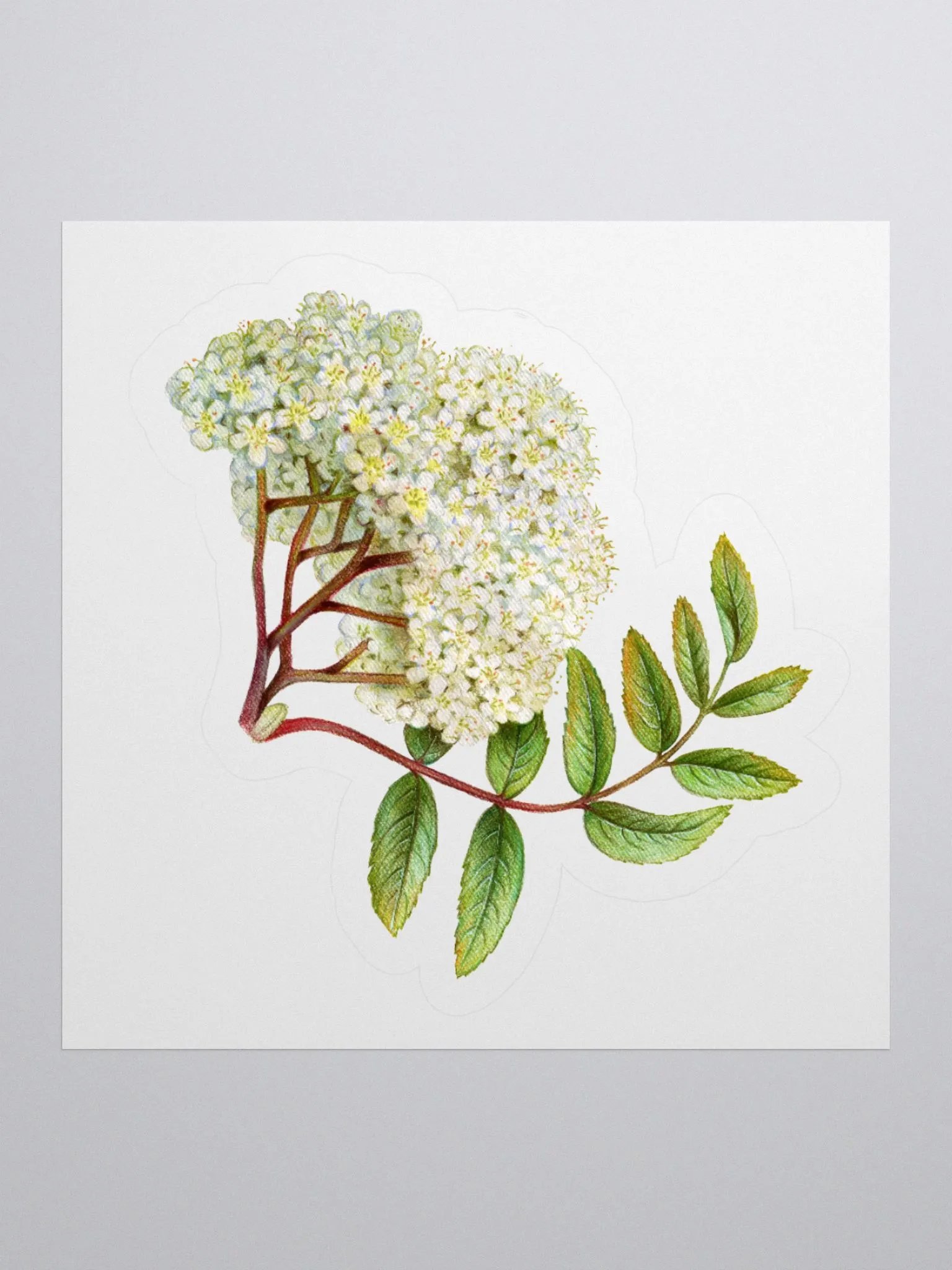 Tiny white flowers sticker product image (2)