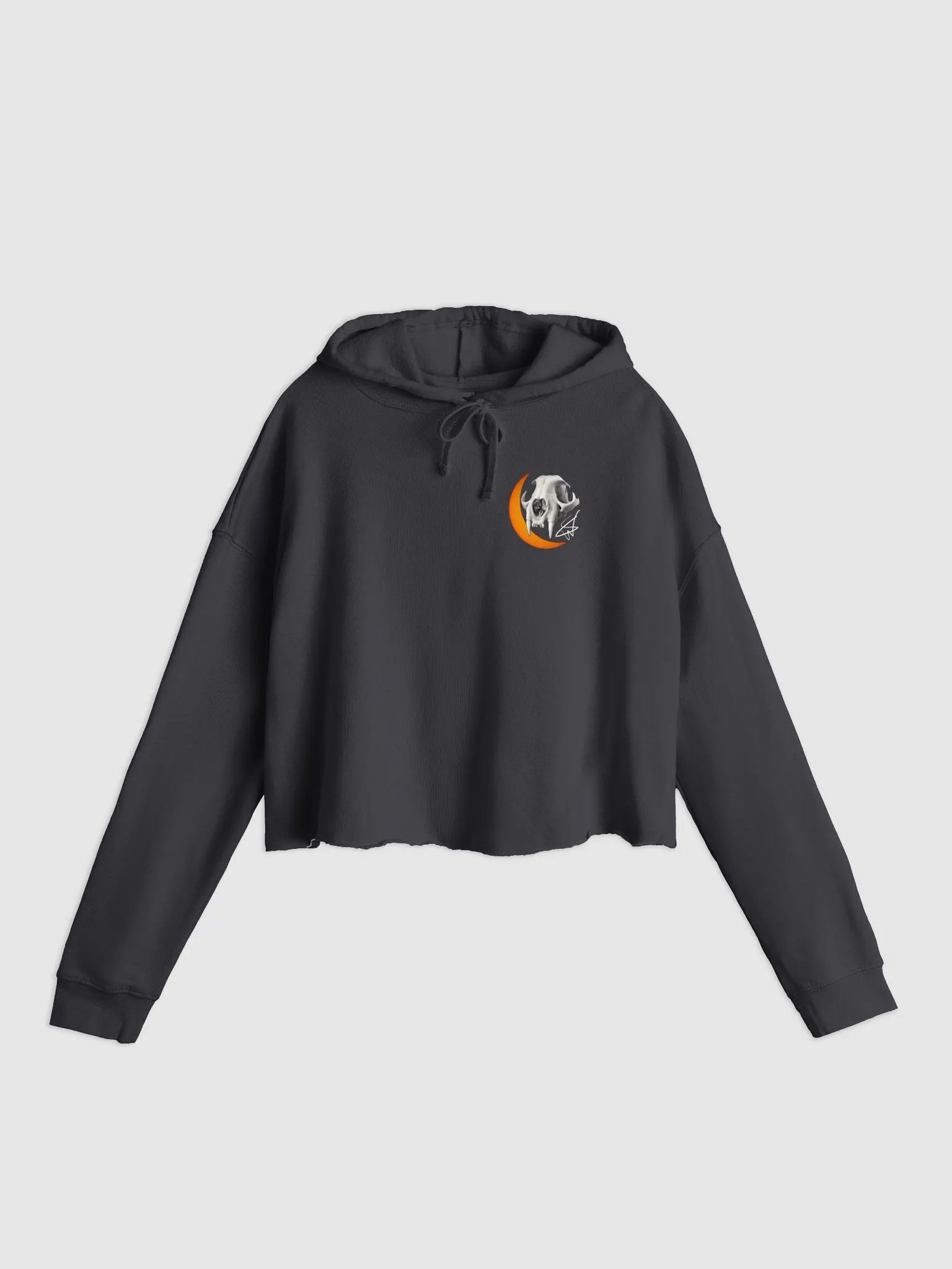 Charmed Cropped Hoodie product image (2)