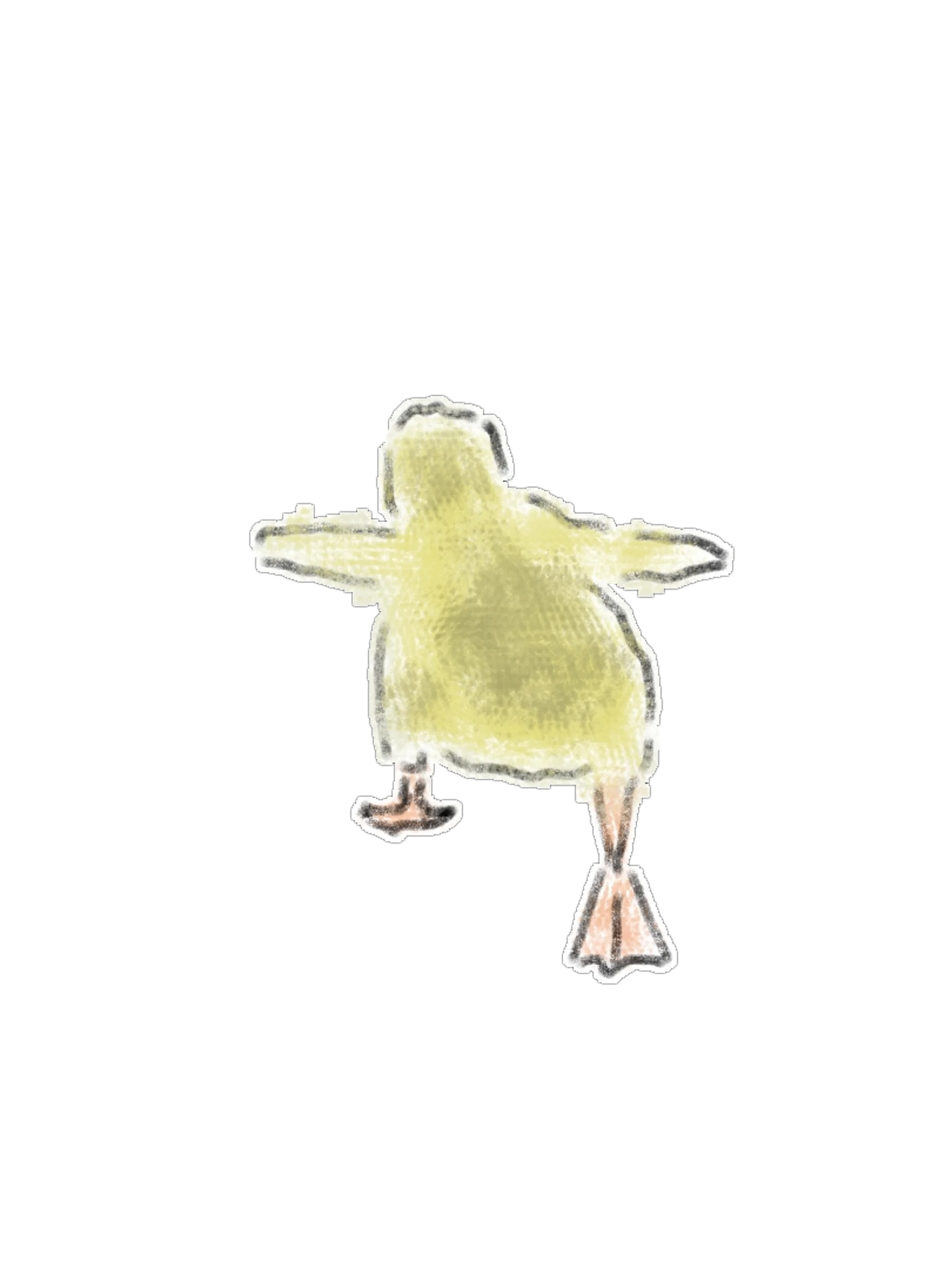 17 Hand-Drawn Penguin and Bird PNG Clipart Bundle product image (8)