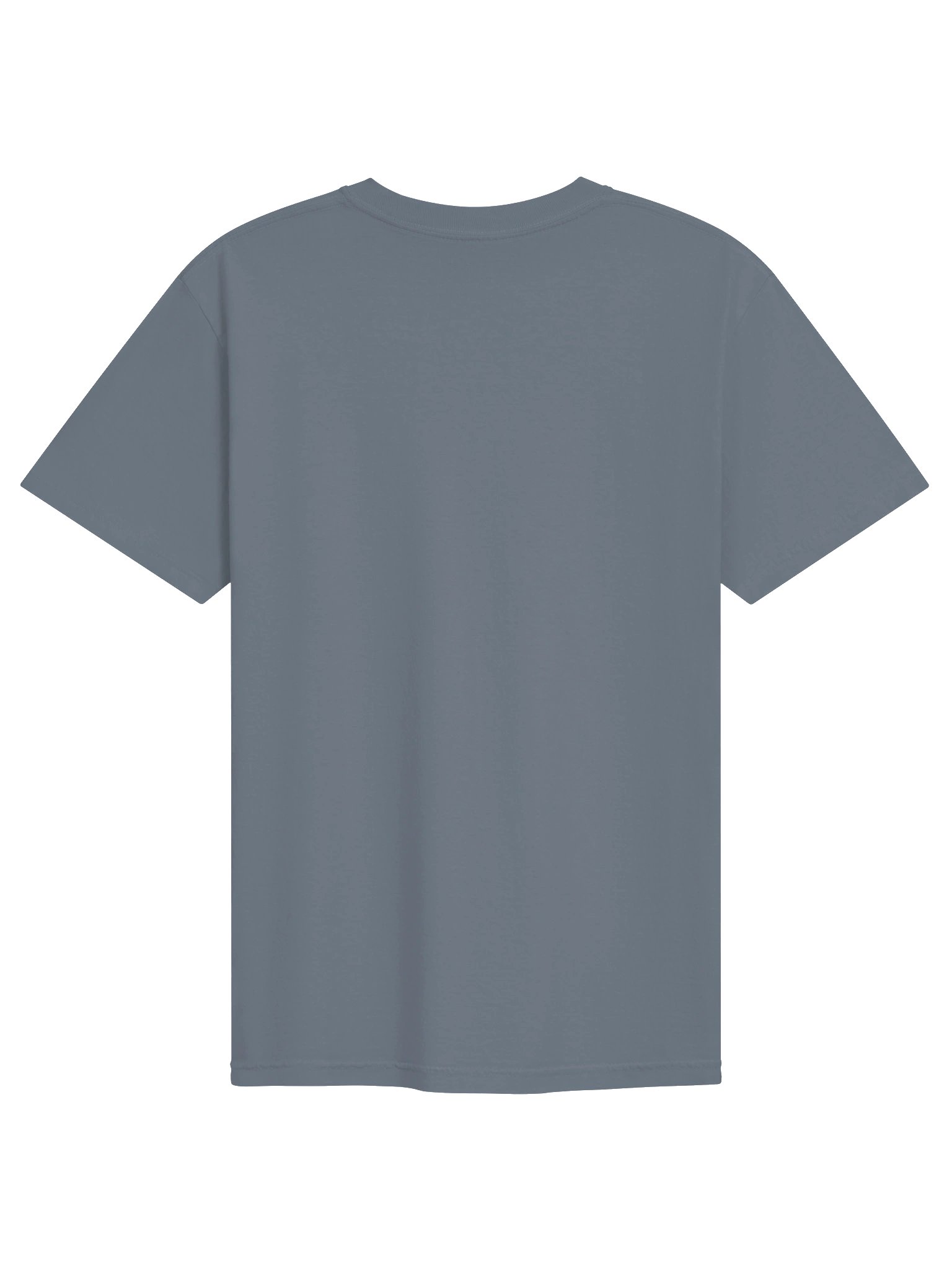 PIBRY Classic Logo Tee product image (26)