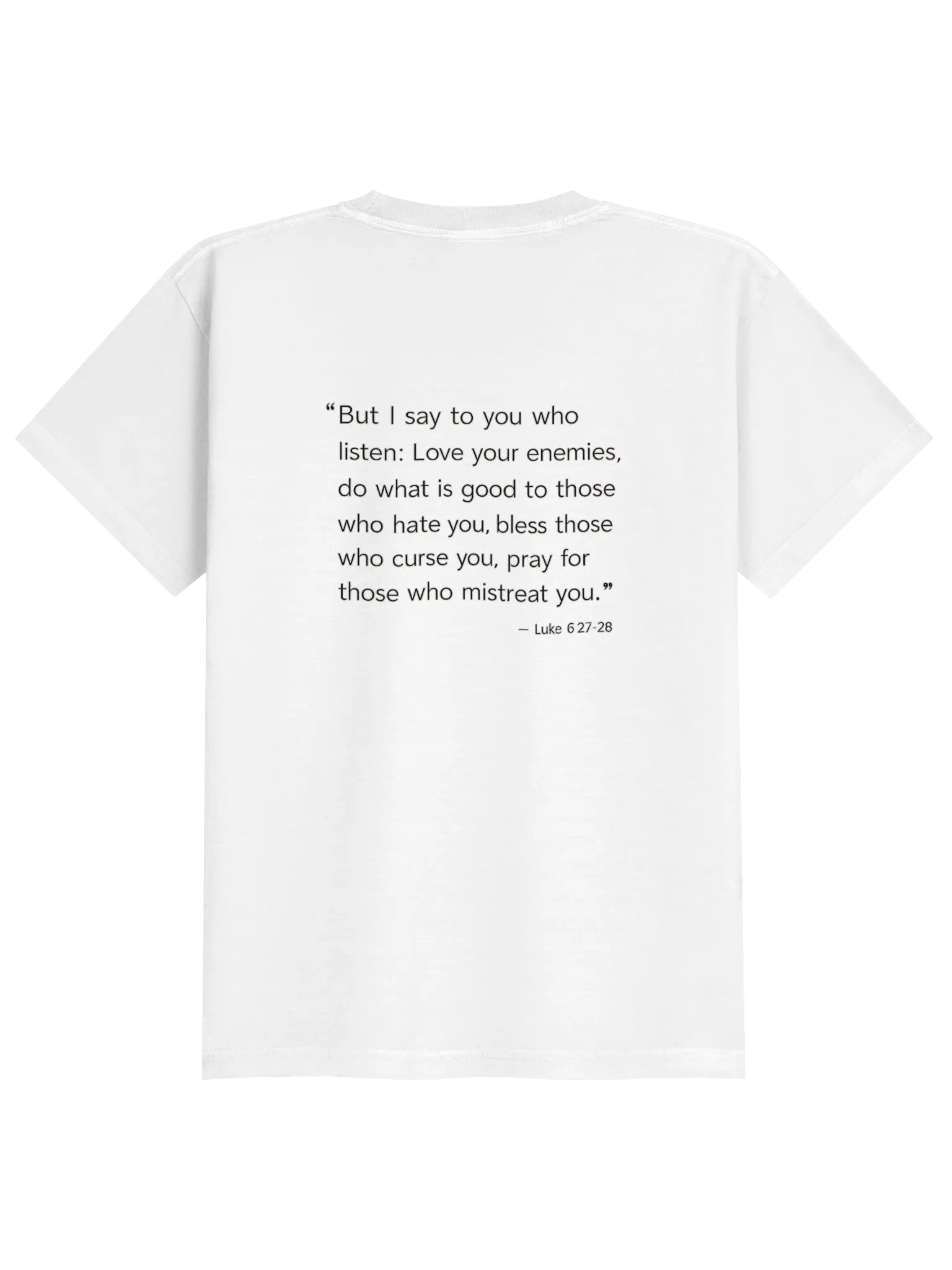 Biblical Truths: White Radical Youth product image (2)
