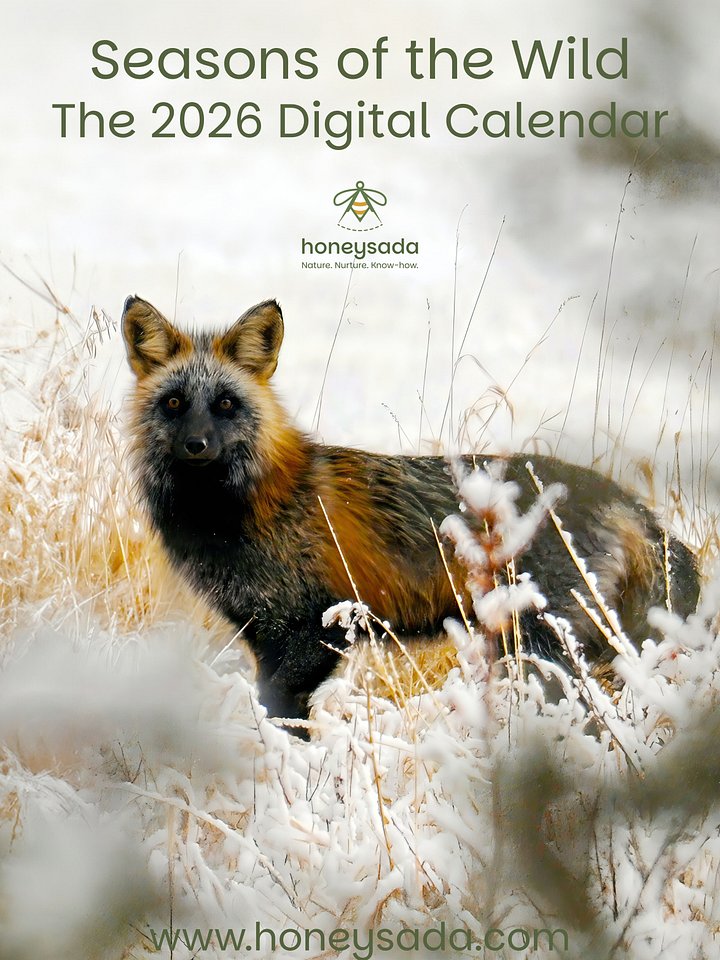 2026 Seasons of The Wild - A Honeysada PDF Calendar - 70 Pages (download) product image (1)