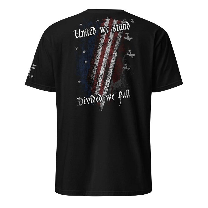United We Stand, Divided We Fall product image (1)