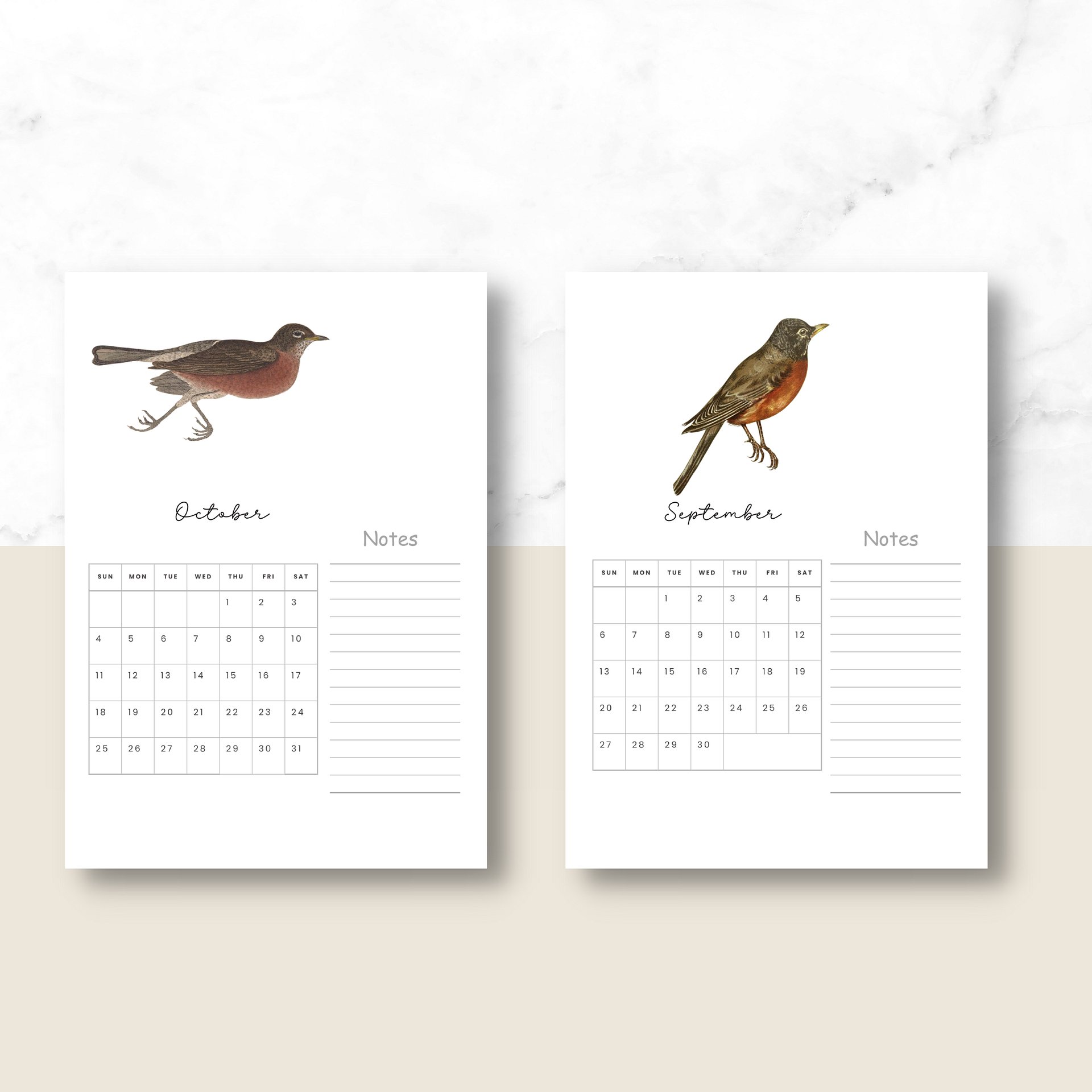 2025-2026 PDF Calendar: American Birds product image (8)