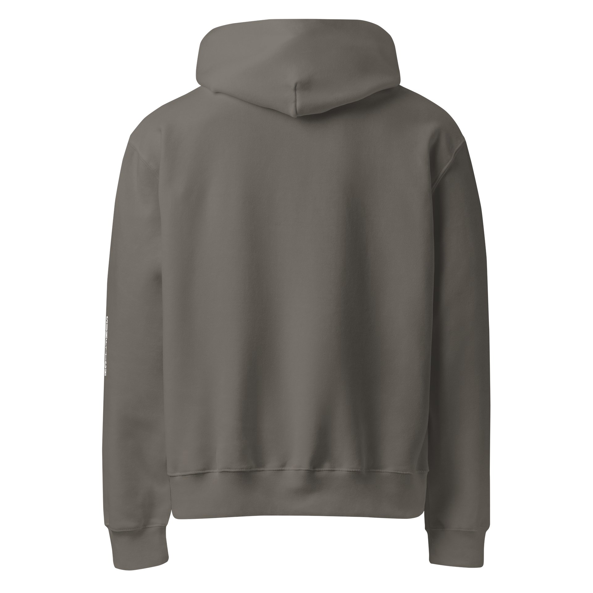Ghost Oversized Heavyweight Hoodie product image (2)