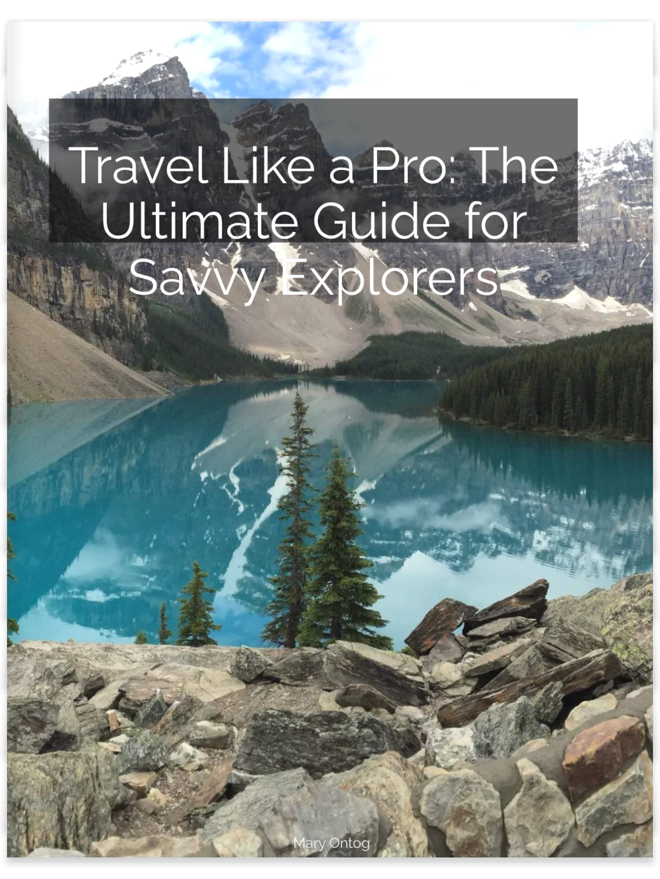 Travel Like a Pro: The Ultimate Guide for Savvy Explorers product image (1)