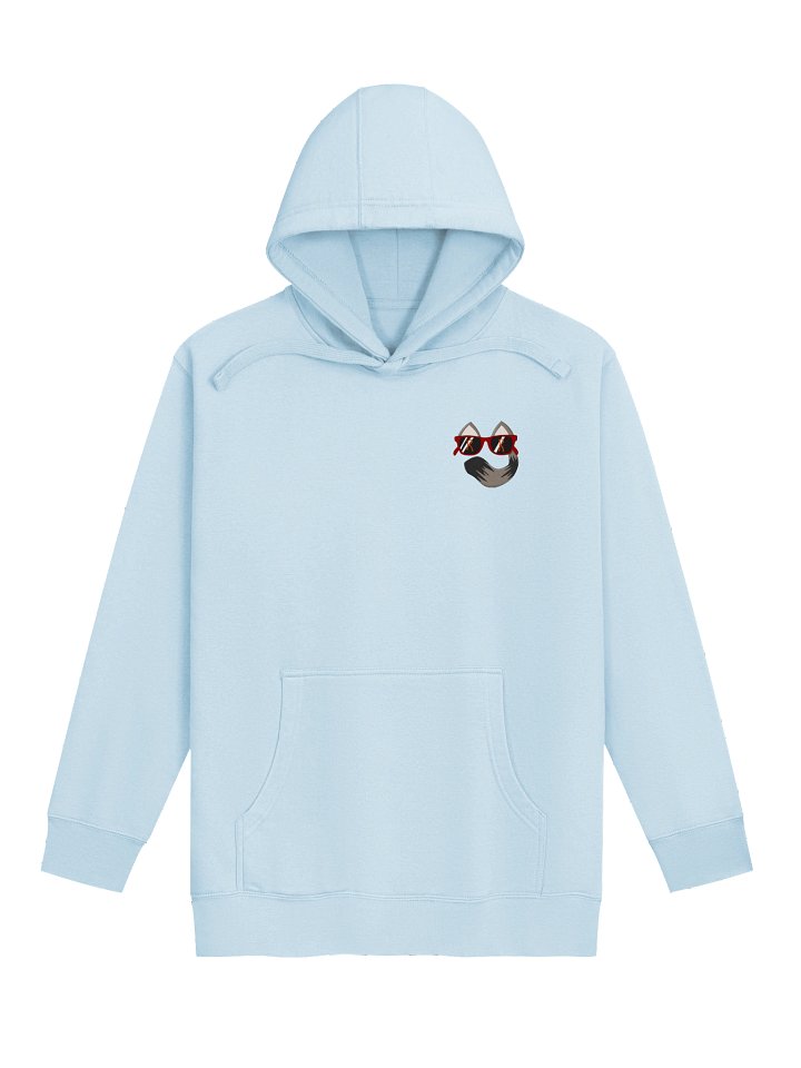 plouj33 x RespawnRaccoon Hoodie product image (4)