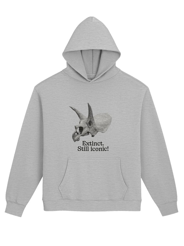 Dinosaur Hoodie – Extinct Still Iconic | Oversized Unisex Hoodie Gift product image (1)