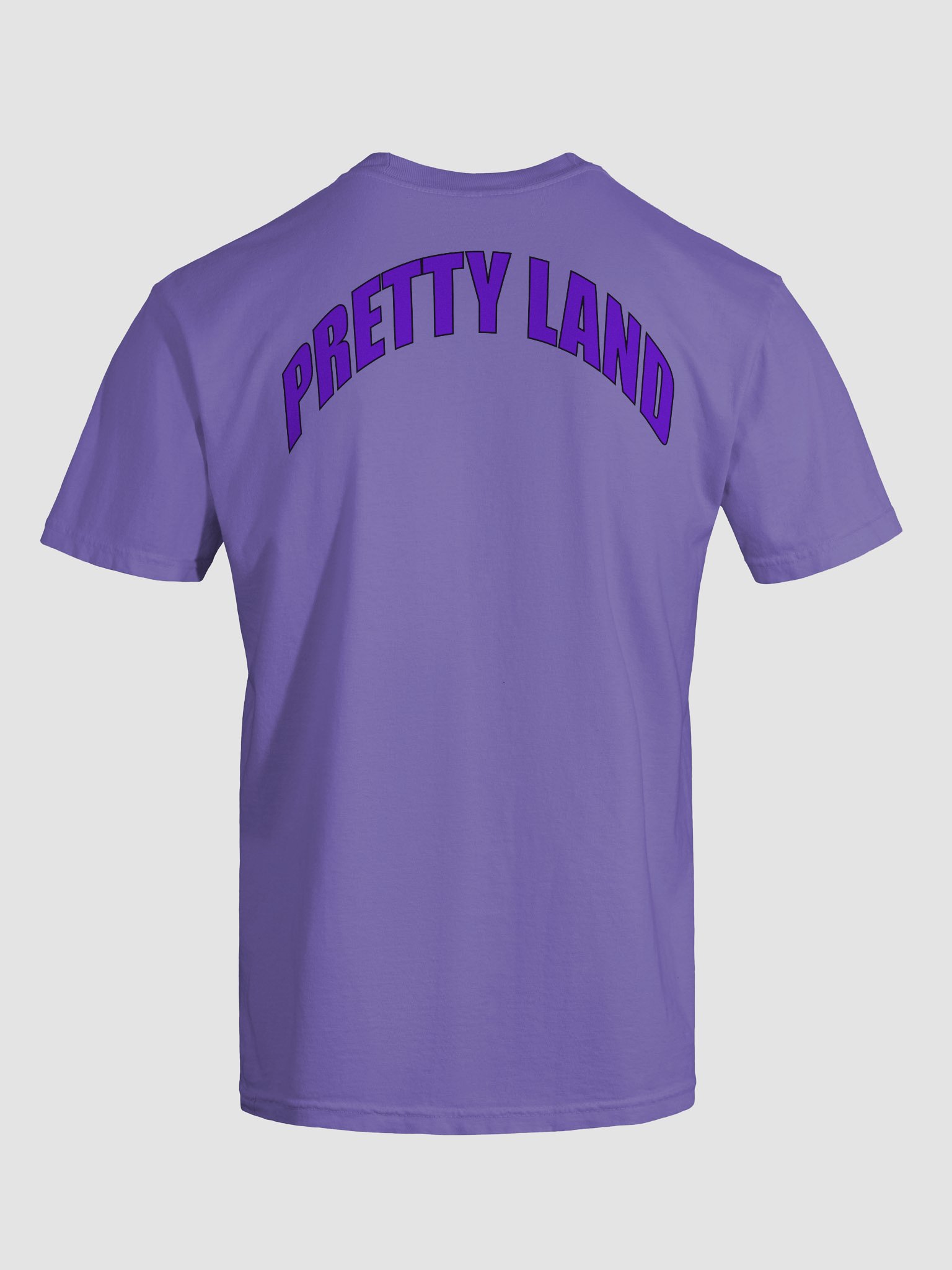 Violet "Pretty Land" Tee product image (4)