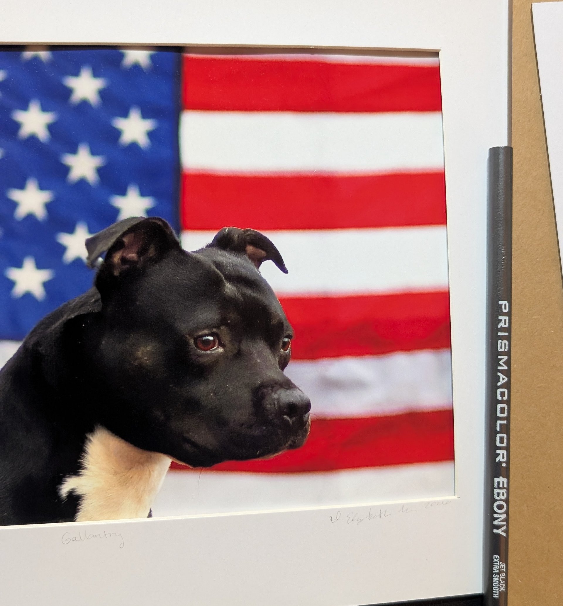 Gallantry Limited Edition Print – American Pit Bull Terrier USA Flag (Signed 5x7 matted 8x10) product image (1)