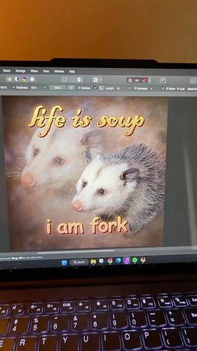 tees and mugs now available on my website!!

#possummemes #possumcore #possums #tshirtdesign #printify