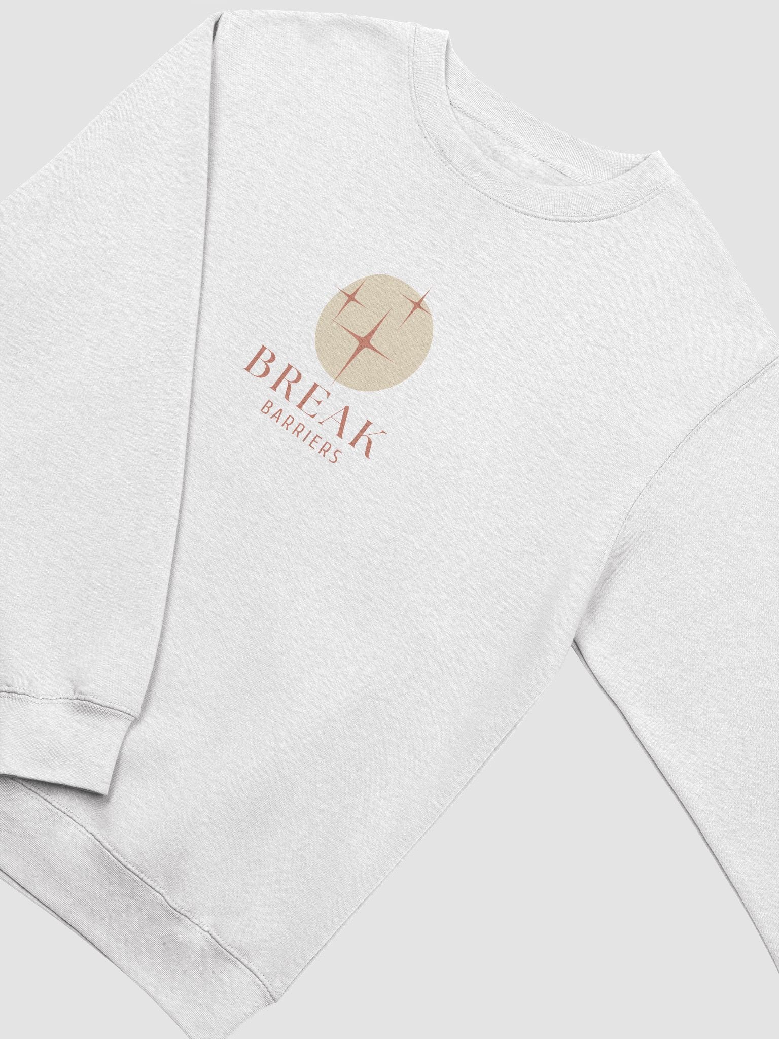 Women's Premium Crewneck Sweatshirt PCFB0105 product image (2)