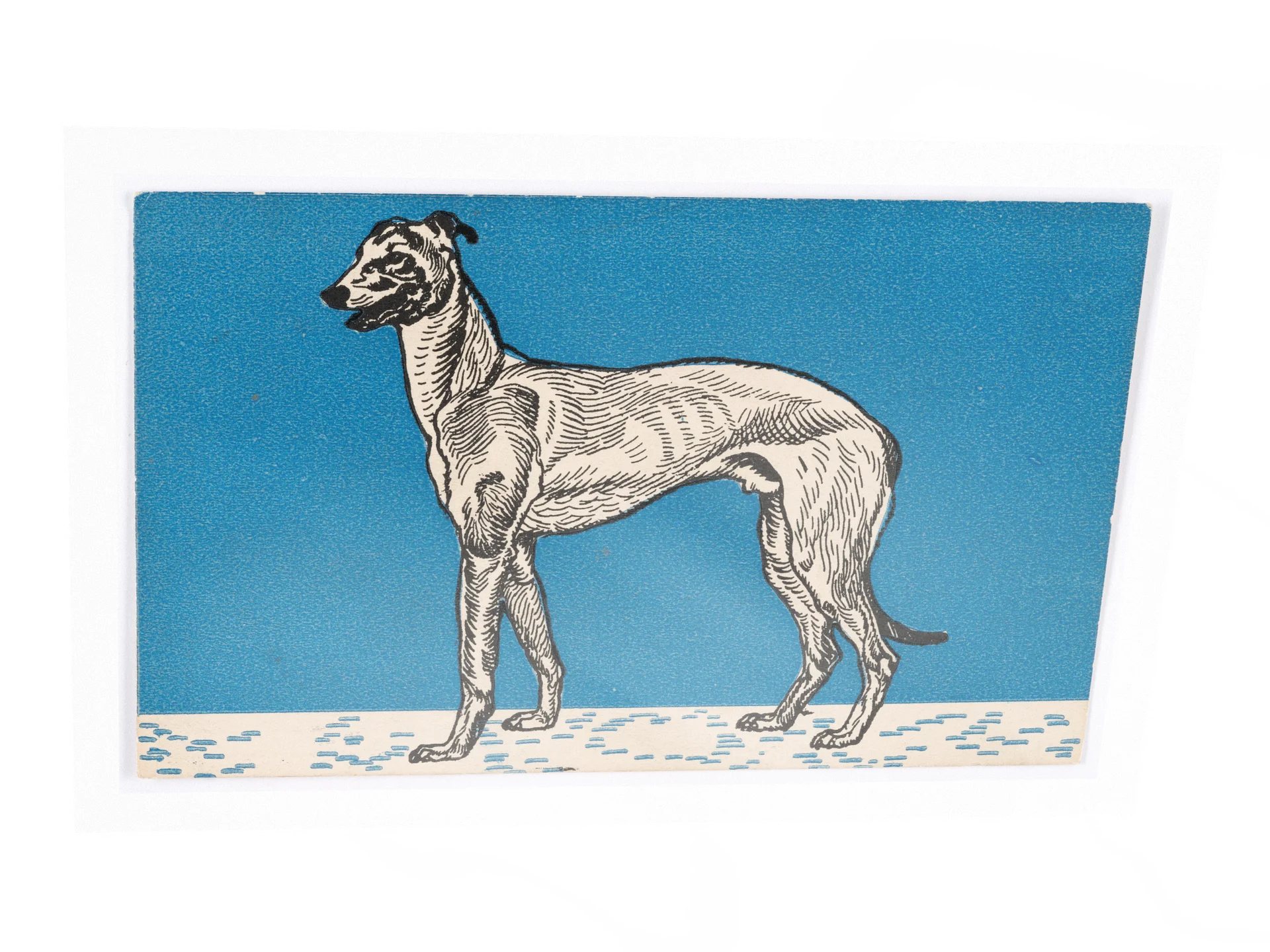 Greyhound II Poster product image (3)