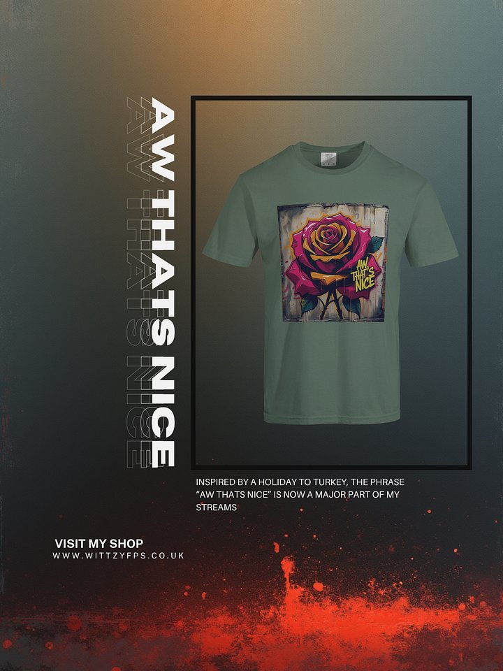 Aw That's Nice Tee product image (2)