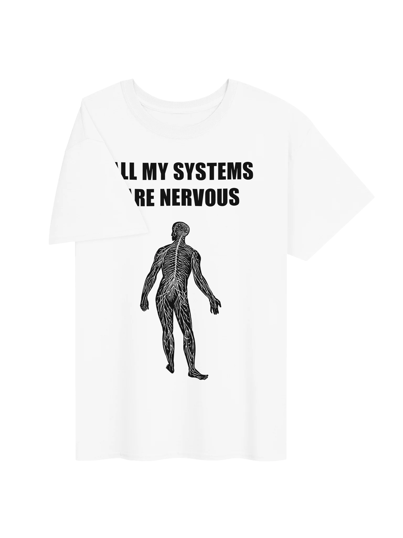 ALL MY SYSTEMS ARE NERVOUS product image (113)