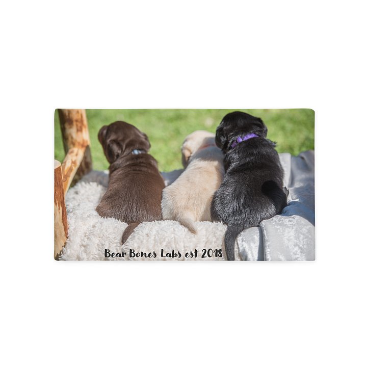 Pillow with Puppies product image (1)