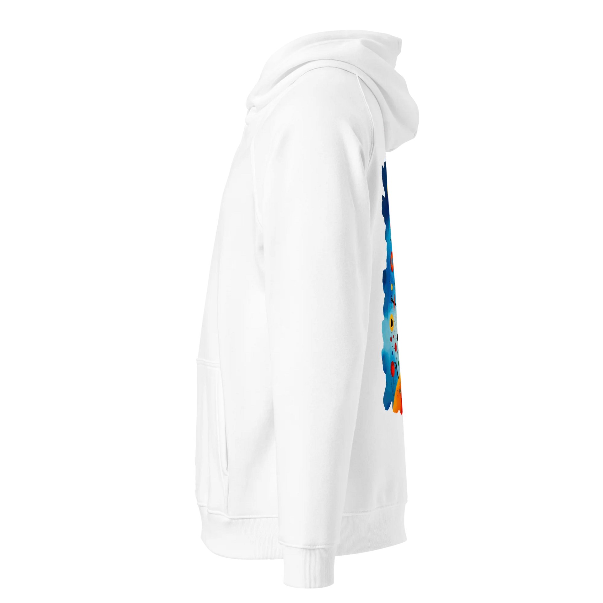 SOL'S Unisex Eco Raglan Hoodie product image (3)