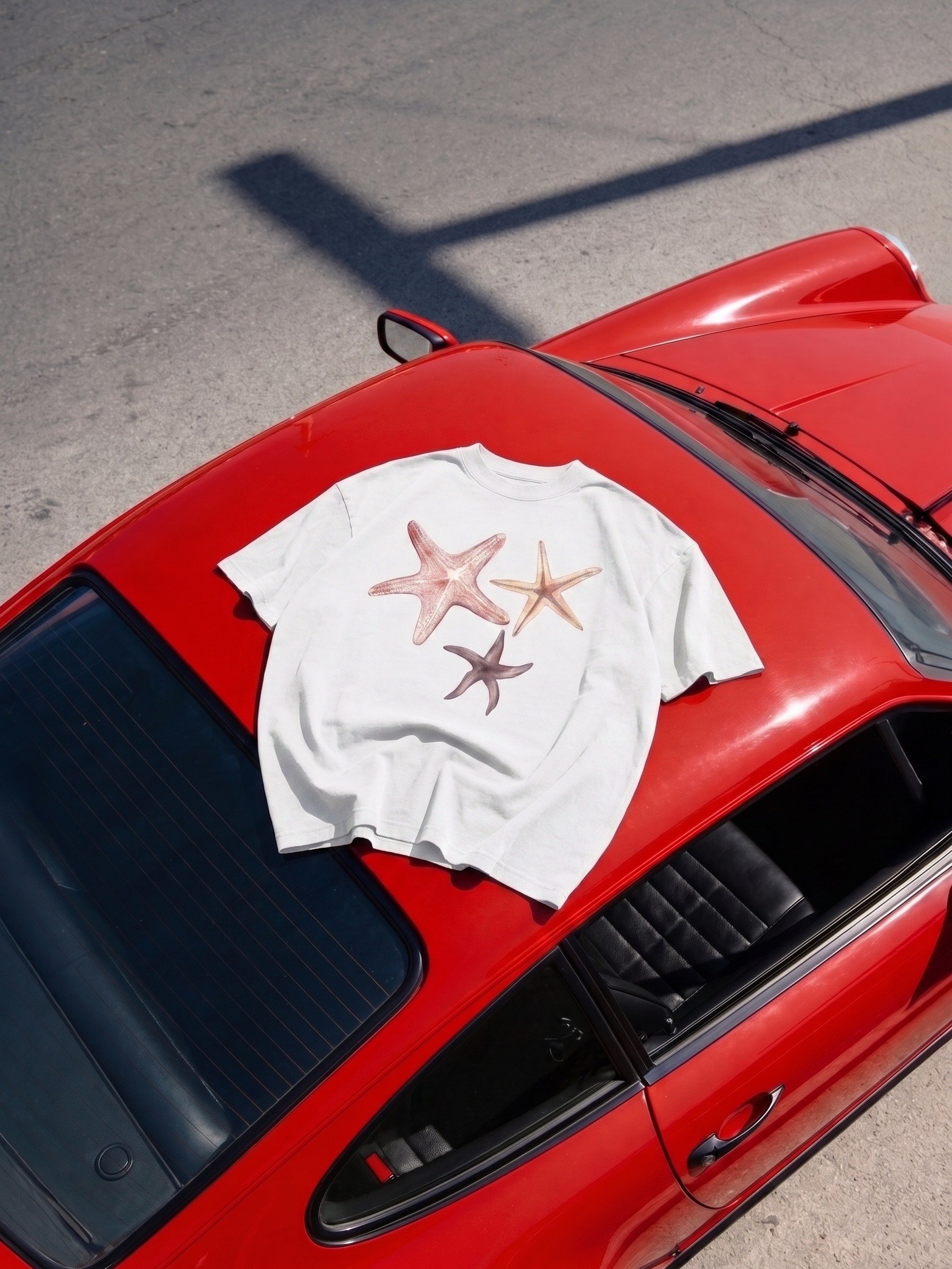Cuban Concept | Starfishes from Varadero product image (2)