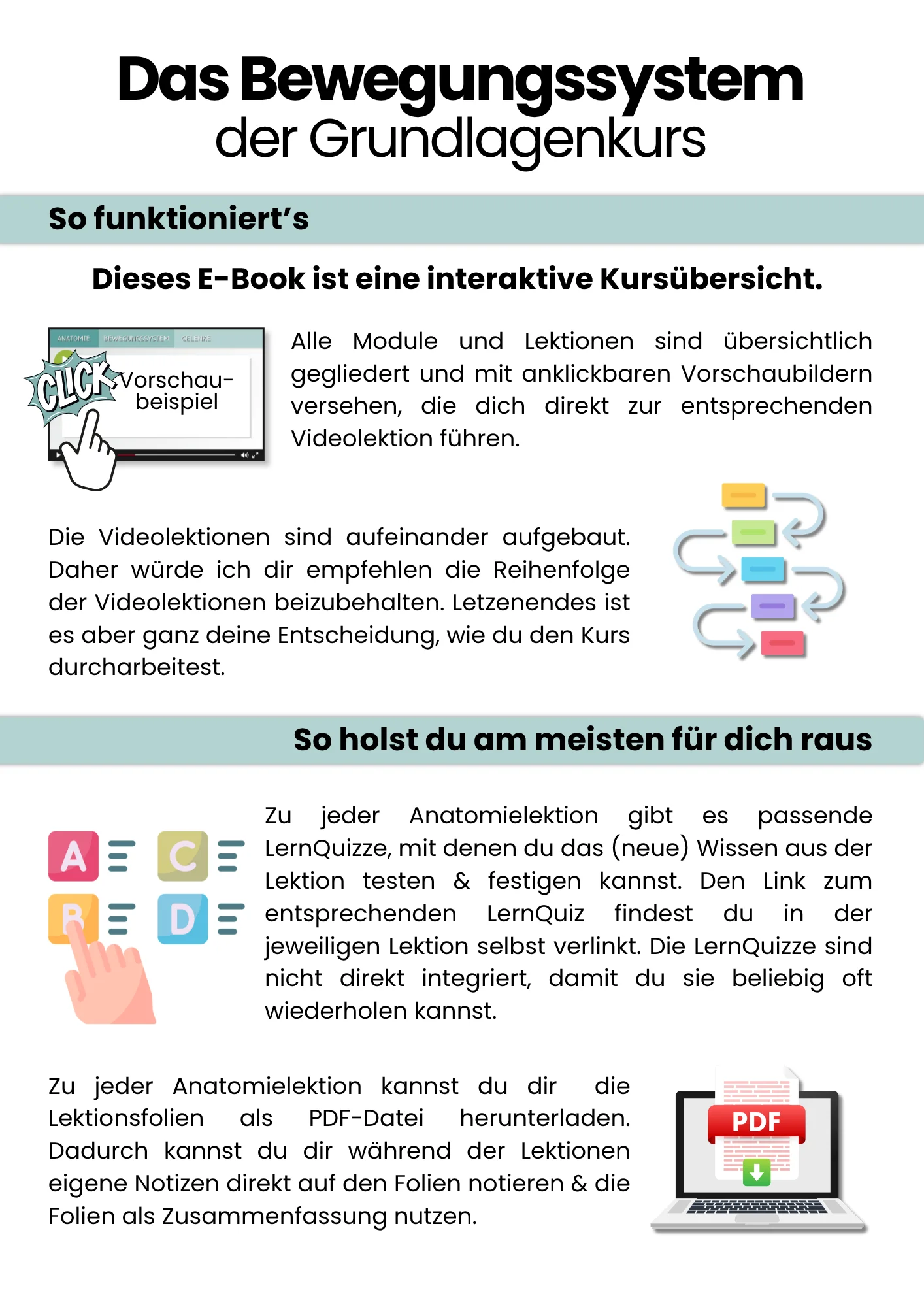 Das Bewegungssystem | der Grundlagenkurs product image (3)