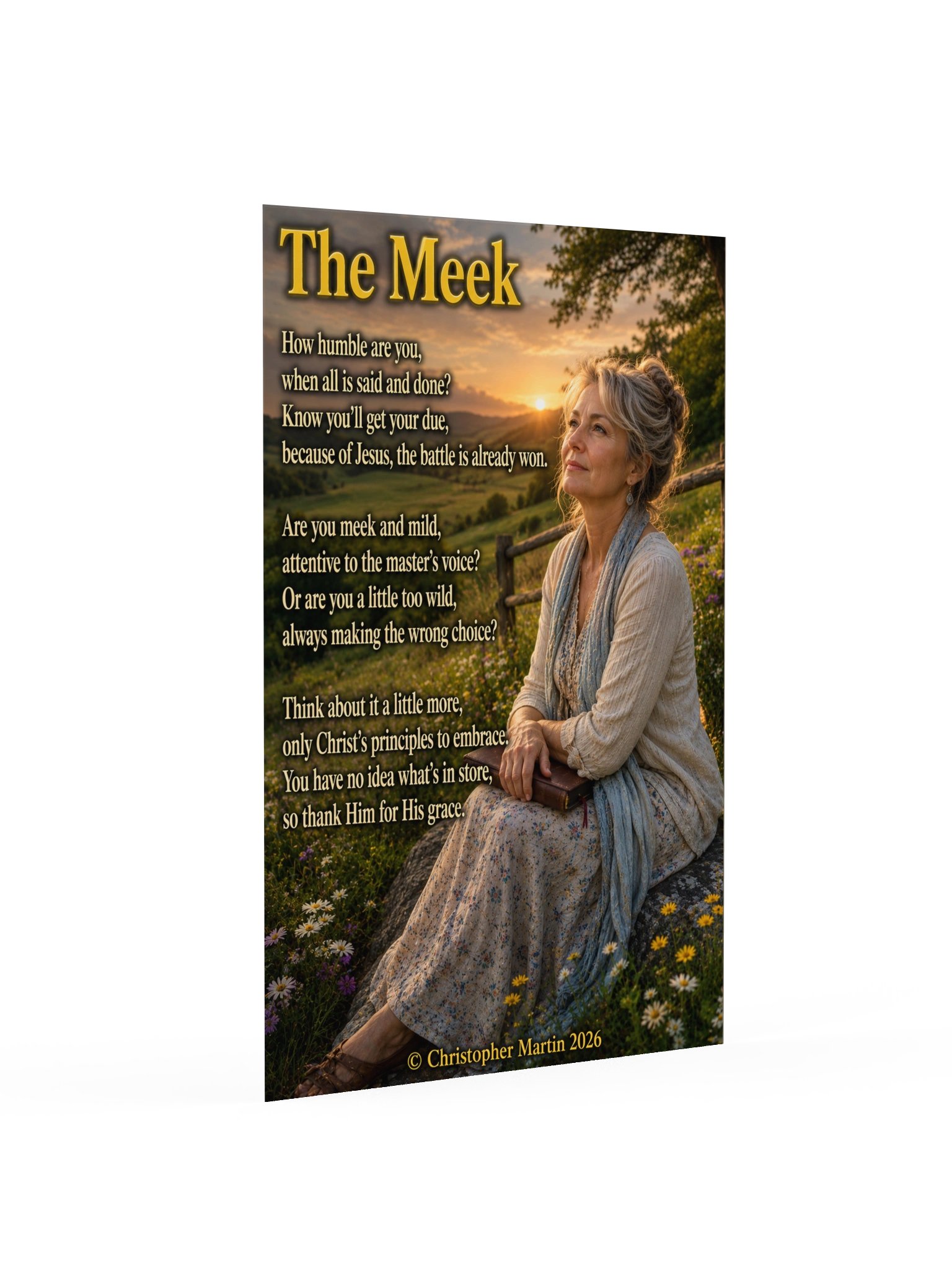 The meek product image (2)