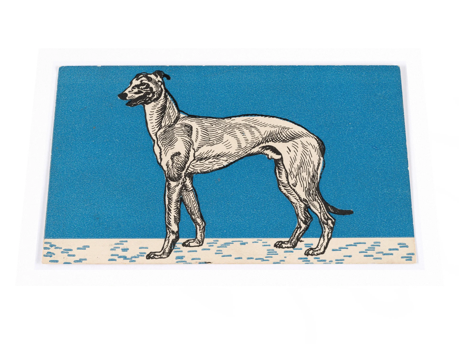 Greyhound II Poster product image (2)