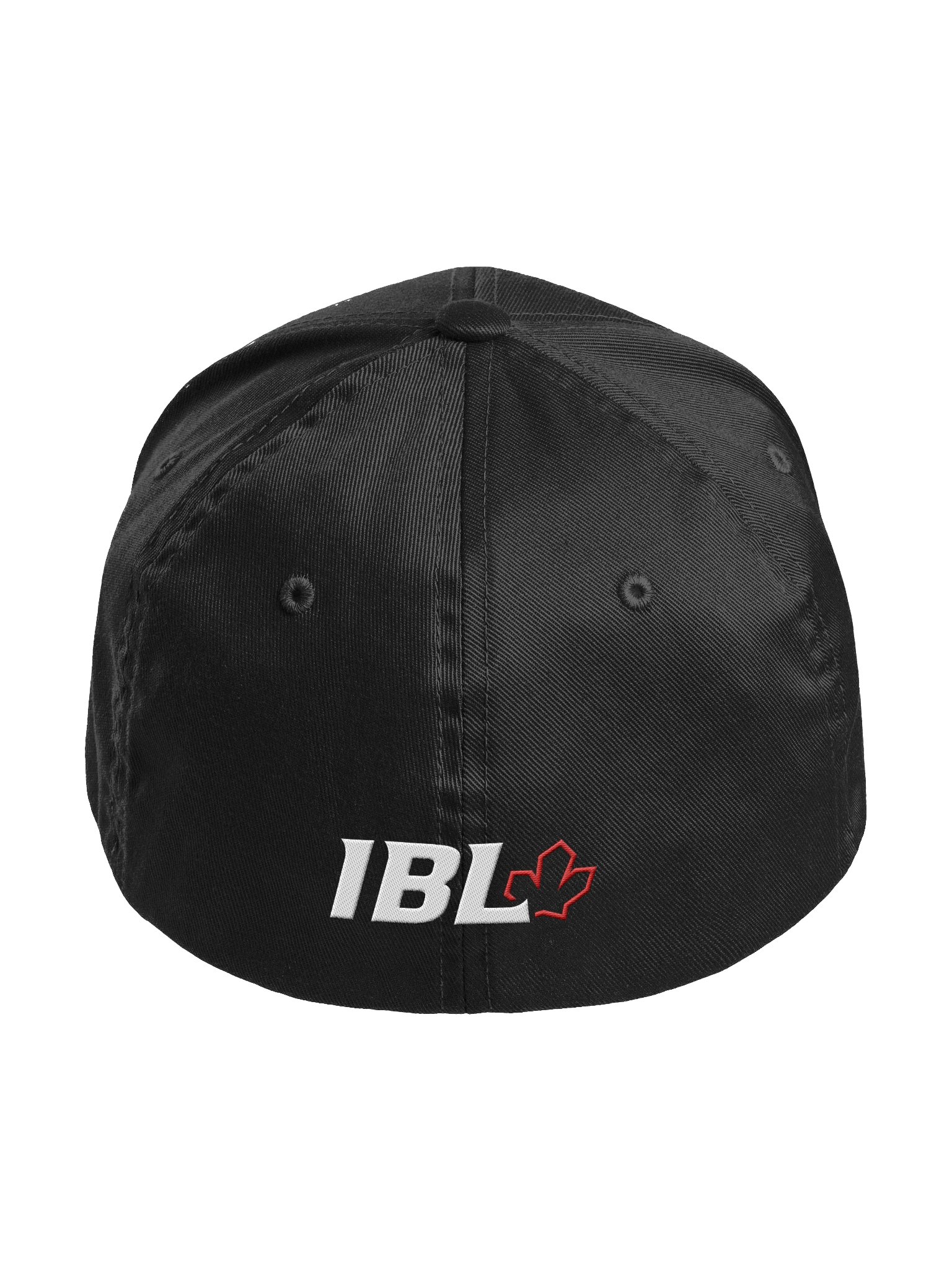Ottawa Fat Cats - Eclipse Eye Dad Hat Flexfit Cap product image (11)