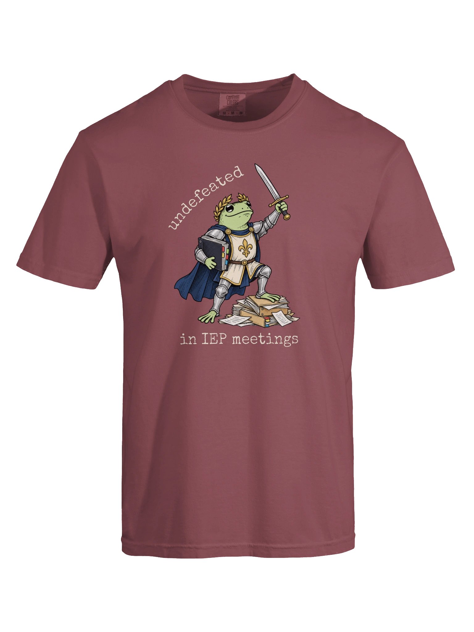 Undefeated In IEP Meetings - Adult Unisex Tee product image (9)