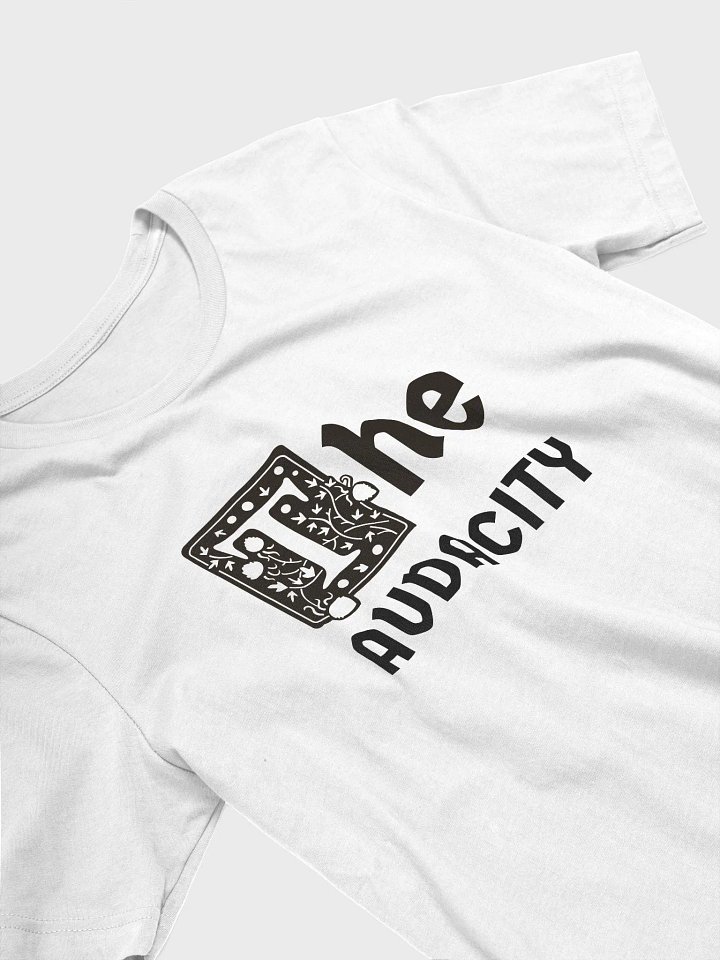 THE AUDACITY product image (2)