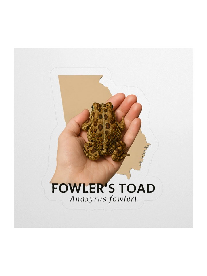 Fowler's Toad Kiss Cut Stickers product image (2)