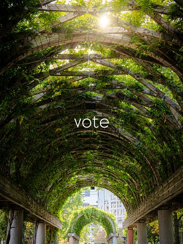 Vote. 🗳️ 🇺🇸 
Let’s do this.
#2026midterms #election2026 #vote #democracy #photography