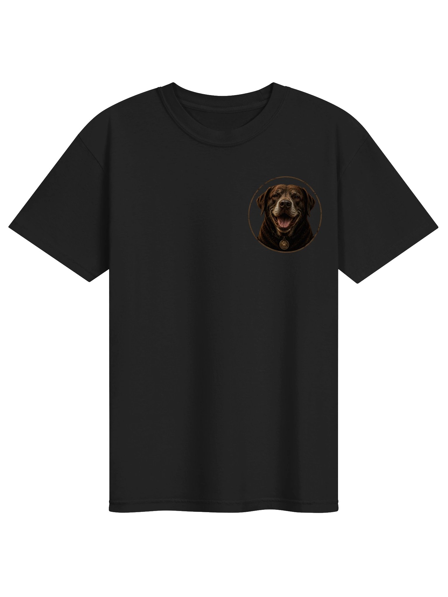 Sleeping Lab product image (1)
