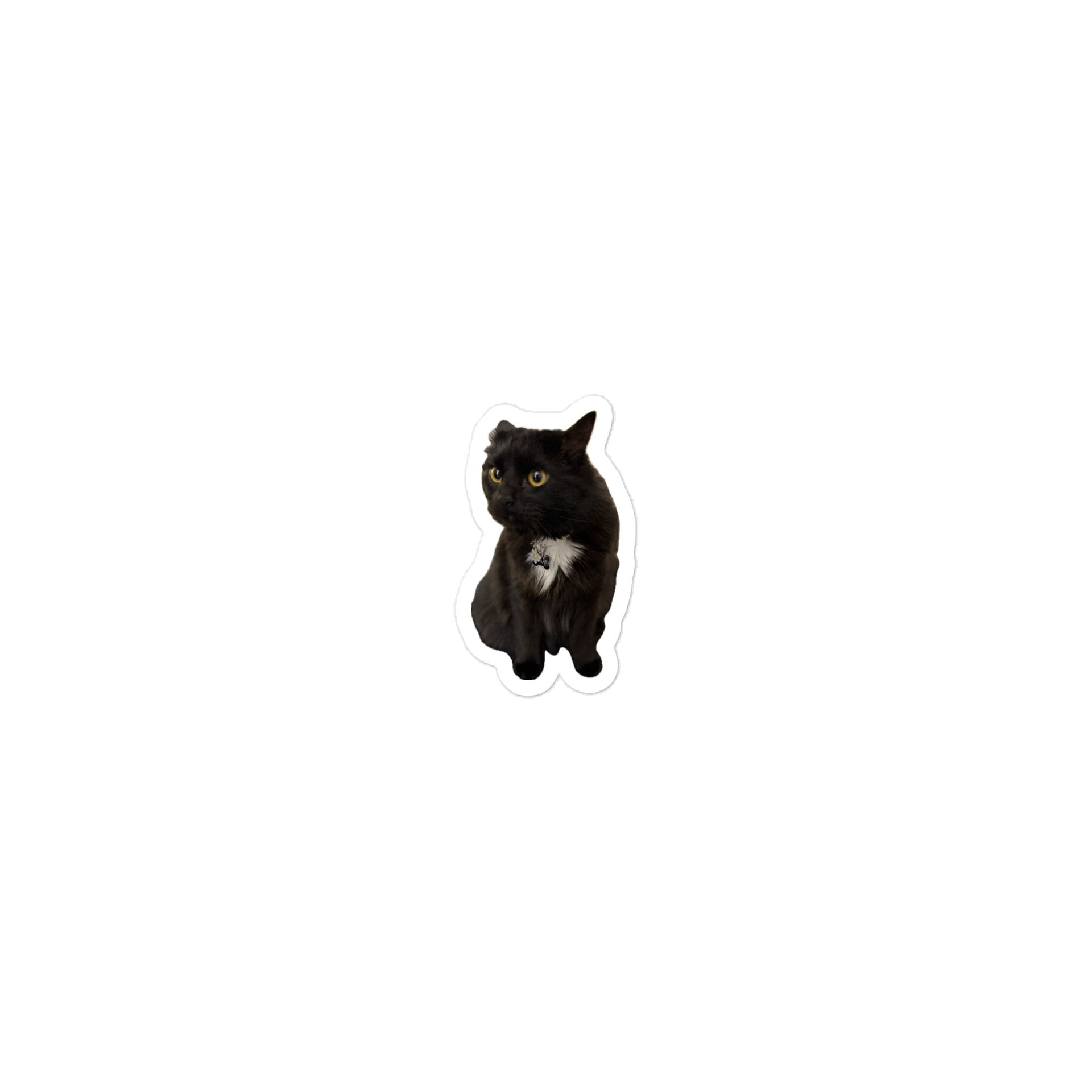 Some Guy's Kat product image (1)