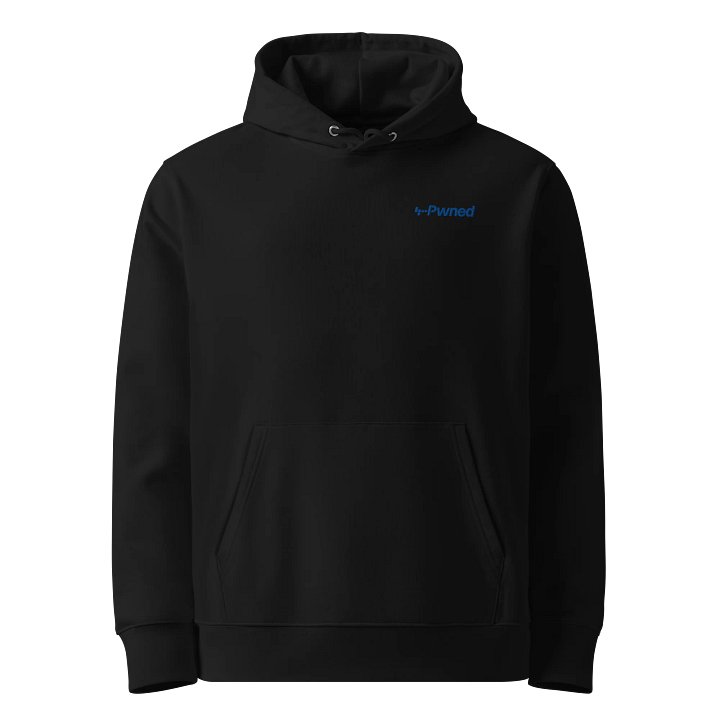 The Pwned Hoodie - Embroidered product image (1)