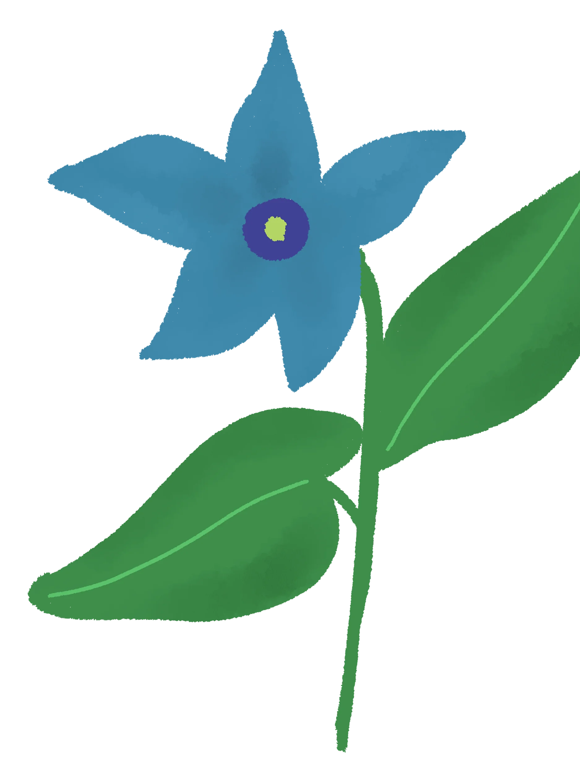 20 Hand-Drawn Flower & Botanical PNG Clipart Bundle product image (4)