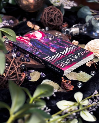 Shop the Vampire Rebellion series at http://shop.sierrarowan.com/
