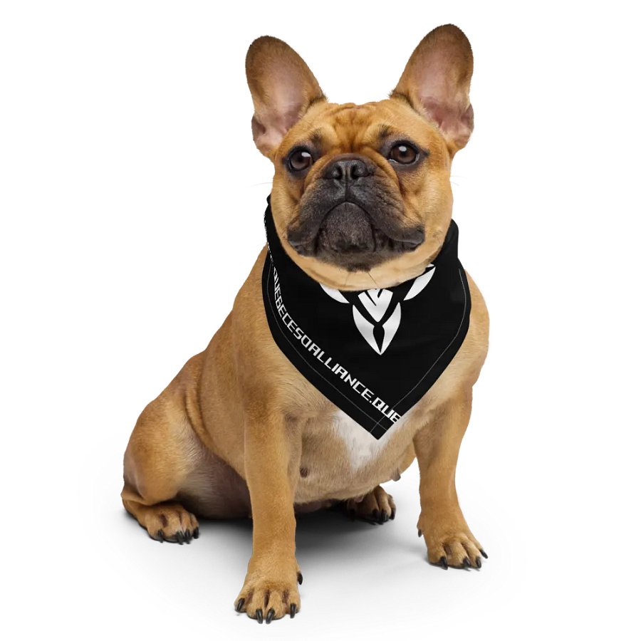 Bandana | Imprimé product image (6)