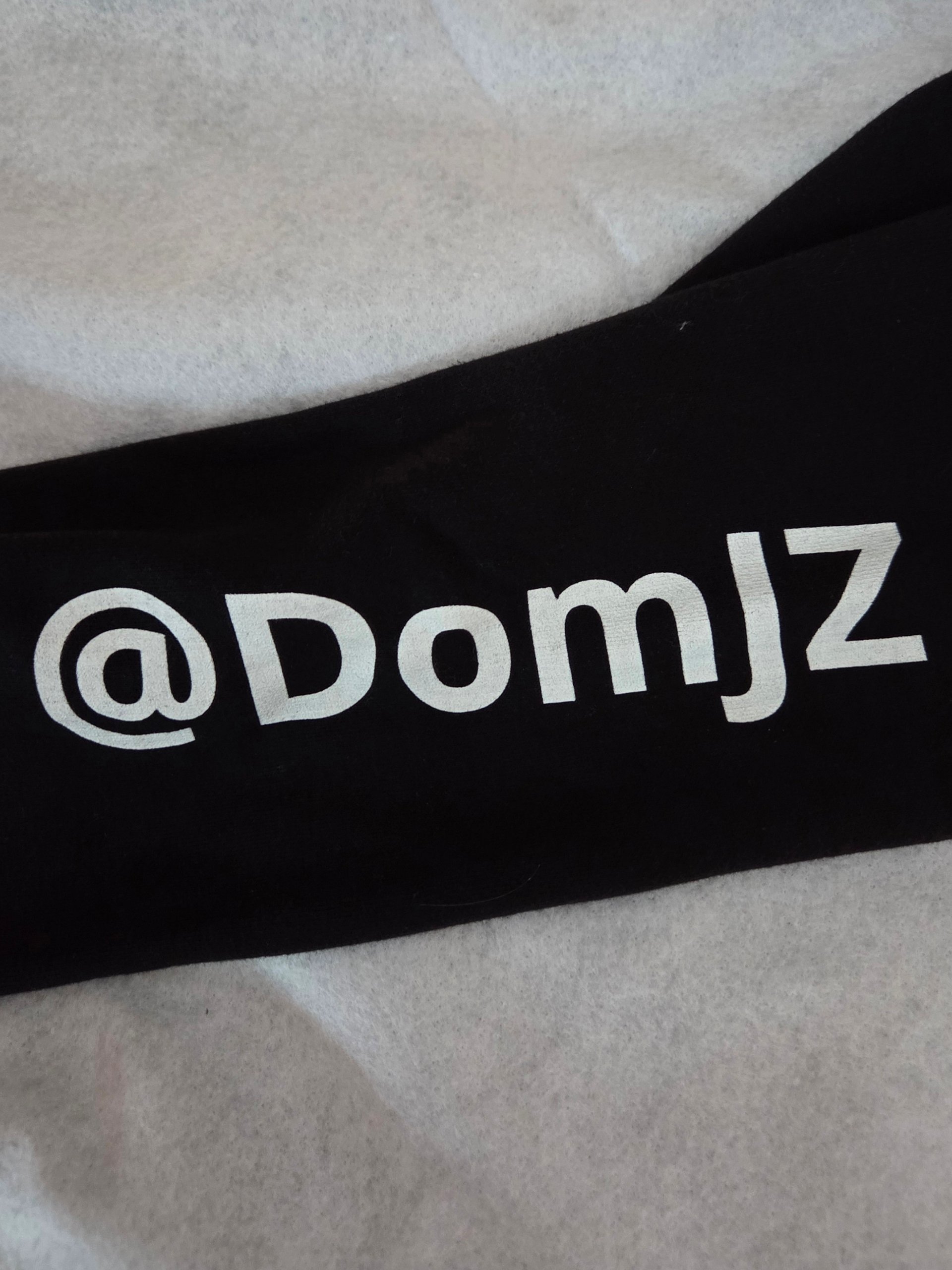 DomJZ PFP & Logo Graphic Hoodie product image (6)