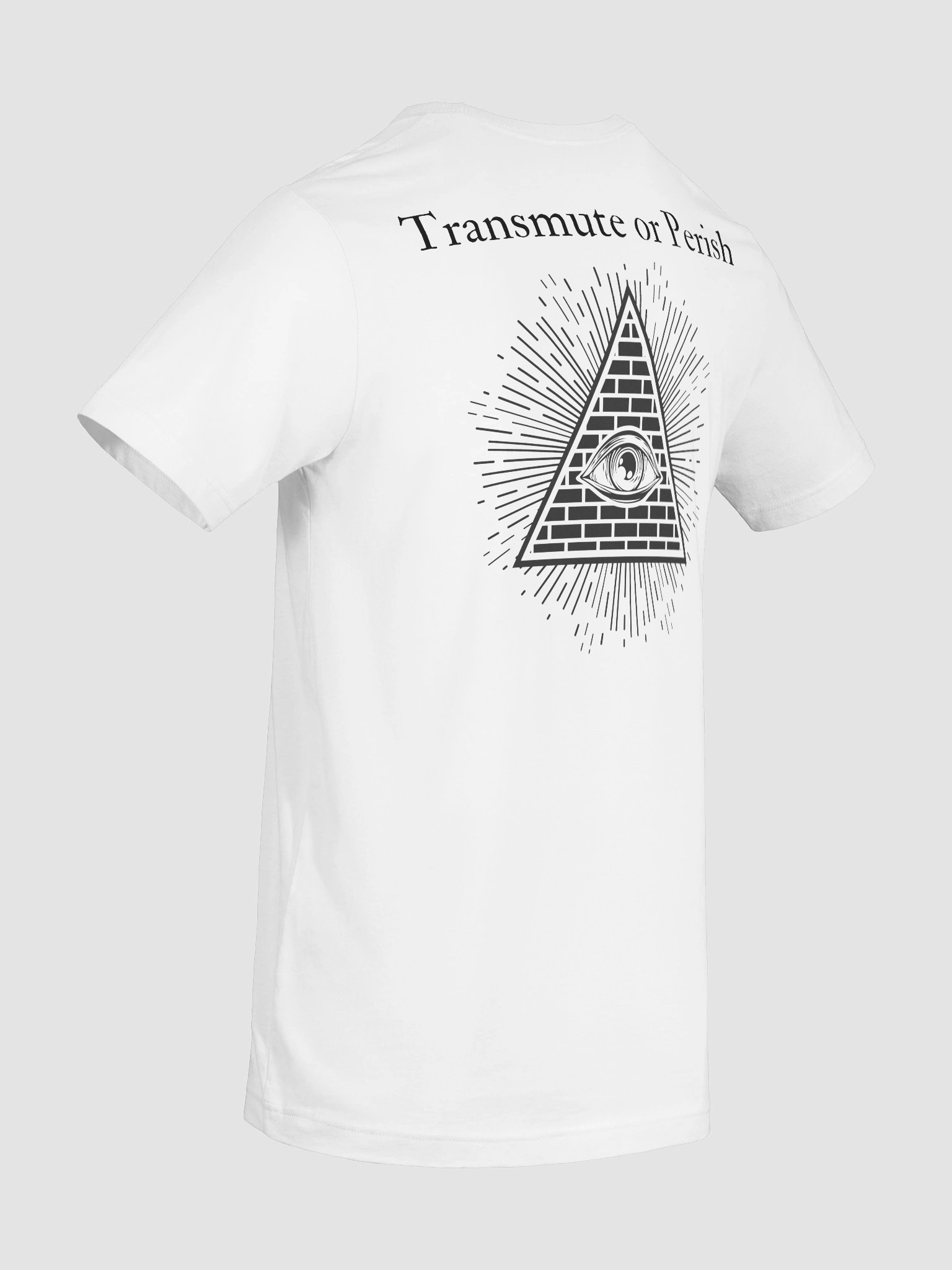 Manifest or Die T-Shirt (Black Print) product image (10)