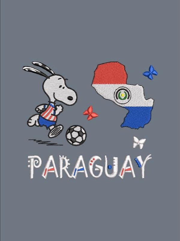 FIFA X TEAMS PARAGUAY product image (1)