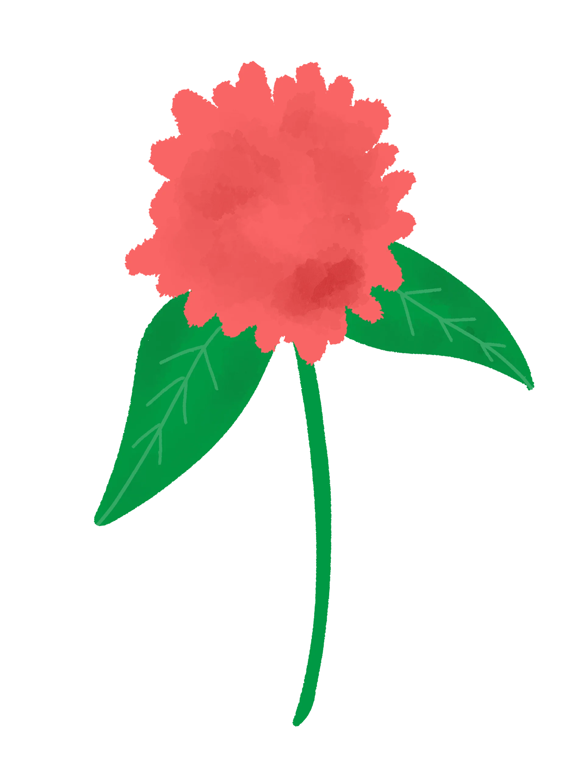 20 Hand-Drawn Flower & Botanical PNG Clipart Bundle product image (2)