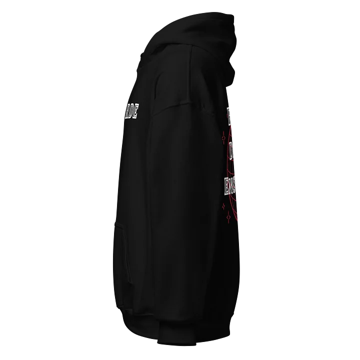 RDE Hoodie Black product image (2)